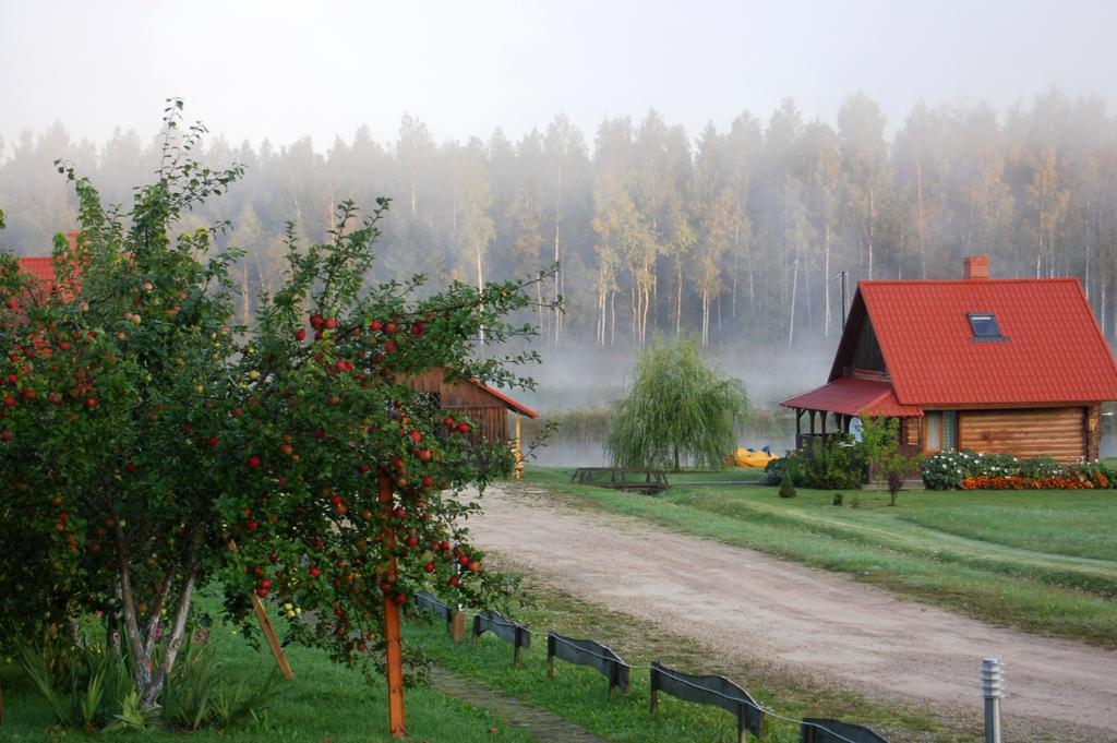 Viesu Nams Rukisi Hotel Rugaji Kültér fotó